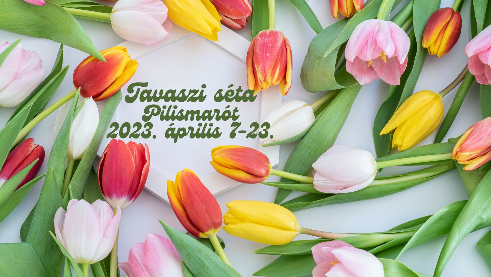 Tavaszi seta